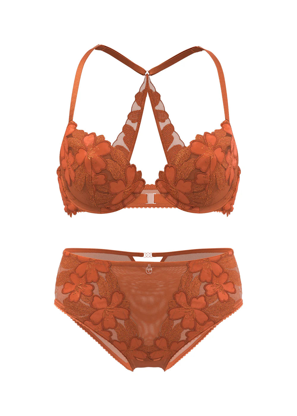 Orange lace lingerie set on a white background